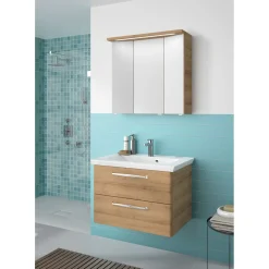 LED-Spiegelschrank Trentino inkl Leuchtmittel 75 x 72 x 20 cm ^ Pelipal