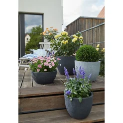 Pflanzgefaess 47/295 Barceo ^ Scheurich Hot