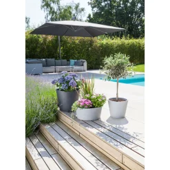 Pflanzgefaess C-Cone 30/238 ^ Scheurich Discount