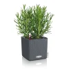 Pflanzkübel Cube Color Komplettset 14 cm schiefergrau ^ Sale