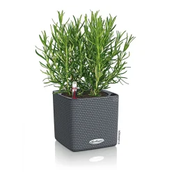 Pflanzkübel Cube Color Komplettset 14 cm schiefergrau ^ Sale