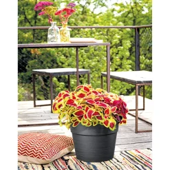 Pflanztopf Vaso Save R 29 cm anthrazit ^ Outlet