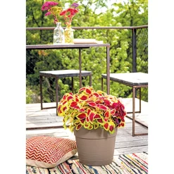 Pflanztopf Vaso Save R 29 cm camel ^ Sale