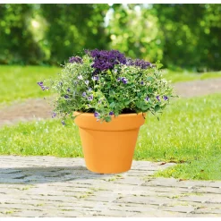 Pflanztopf Vaso Standard 15 cm ^ Online