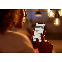 LED-Edison-Leuchtmittel White Filament E27 7W ^ Philips Hue Best
