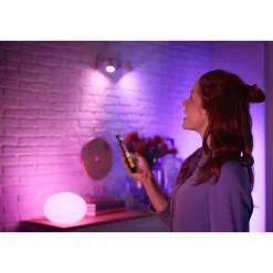 LED-Leuchtmittel-Set rund 10W 2-teilig ^ Philips Hue Online