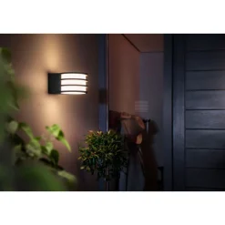 LED-Wandleuchte Lucca anthrazit ^ Philips Hue Discount