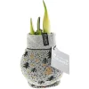 Amaryllis mit Socke gewachst ca 32 cm ^ Plantiflor Discount