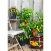 Balkongemüse Topf Durchmesser 11 cm ^ Plantiflor Clearance
