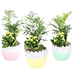 Bepflanzte Gefäße mit Oster-Deko ^ Plantiflor