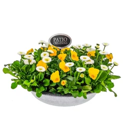 Bepflanzte Zinkschale mit Oster-Deko ^ Plantiflor Online