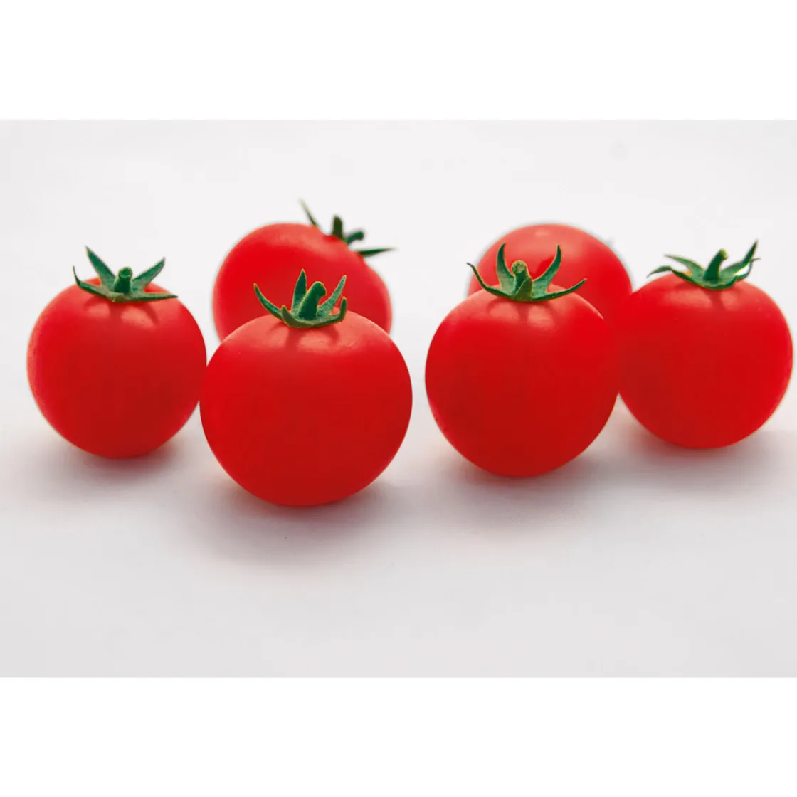Cocktailtomate Supersweet F1 Topf Durchmesser 11 cm ^ Plantiflor Discount