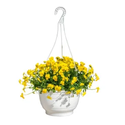 Hornveilchen Ampel Durchmesser 25 cm ^ Plantiflor