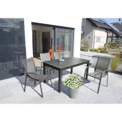 Margeritenbusch weiß im Topf Durchmesser 18 cm ^ Plantiflor Clearance