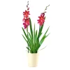 Orchideen-Mix Topf Durchmesser 9 cm ^ Plantiflor