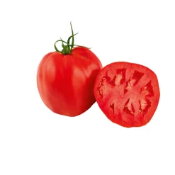 Veredelte Salattomate Topf Durchmesser 12 cm ^ Plantiflor Outlet