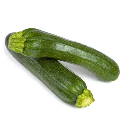 Zucchini Pflanze Topf Durchmesser 12 cm ^ Plantiflor