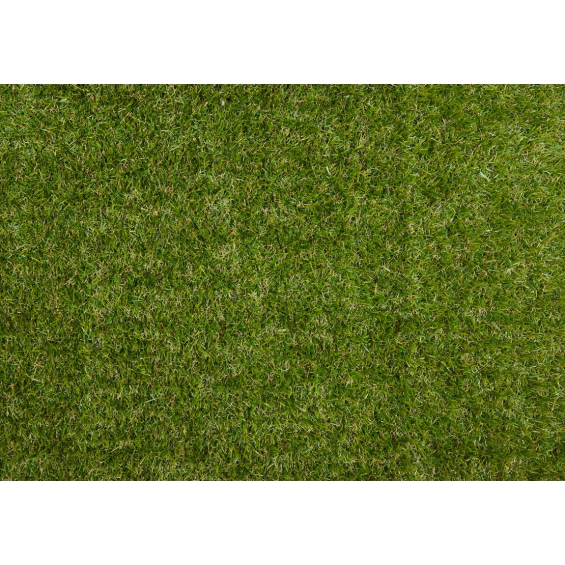 Kunstrasen Oxford 100x200 cm grün ^ Rasen Deluxe Discount