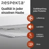Blockhaube CH 22098IXBEdelstahl, 60 cm, EEK B ^ Respekta Sale