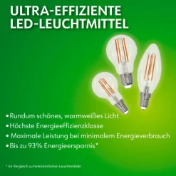 Retro LED Birne EEK A E27E27 60W 806lm 2700K ^ Müller-Licht Outlet