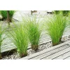 Terrassendiele grau 300 x 12 x 2,1 cm ^ Rettenmeier New