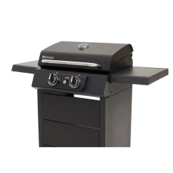 Elektrogrill eSTAR ^ Rothmann Hot