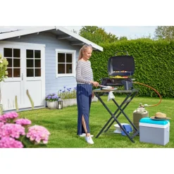 Gasgrill Phoenix ^ Rothmann Sale