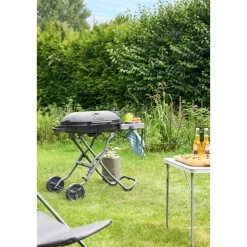 Gasgrillwagen Go ^ Rothmann Sale