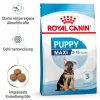 Trockenfutter Maxi Junior 4 kg ^ Royal Canin Clearance