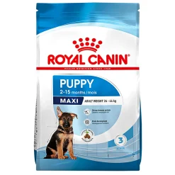 Trockenfutter Maxi Junior 4 kg ^ Royal Canin Clearance