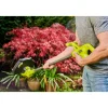 Akku-Rasentrimmer RY18 LT23A-120 23 cm inkl Akku und Ladegerät ^ Ryobi Clearance