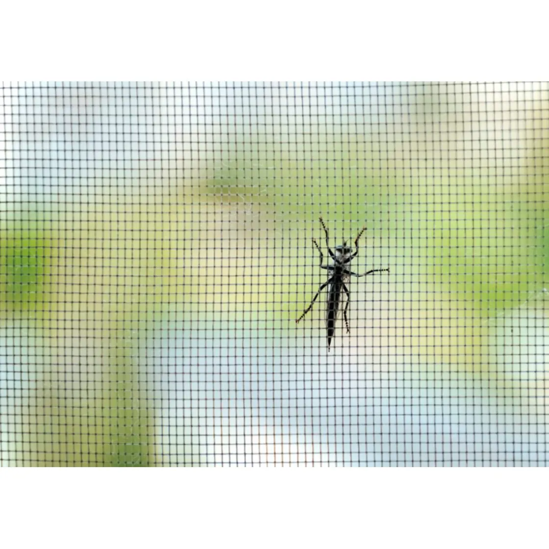 Insektenschutz Pop-Up Fenster 100 x 120 cm anthrazit ^ Schellenberg Hot