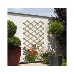 Scherenspalier ^ Outlet