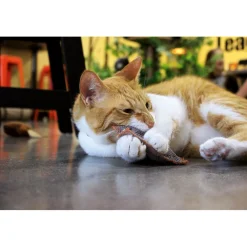 Schmusekissen Classic mit Katzenminze versch Farben ^ Sale