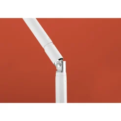 Gartenschirm Merkur Durchmesser 200 cm farblich sortiert ^ Schneider Schirme Best