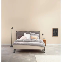Trendfarbe Cosy matt 2,5 L ^ Schöner Wohnen Farbe Online