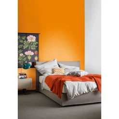 Trendfarbe Mango Matt L ^ Schöner Wohnen Farbe Outlet