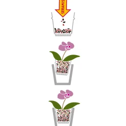 Spezial-Substrat für Orchideen 7 L ^ Seramis Discount