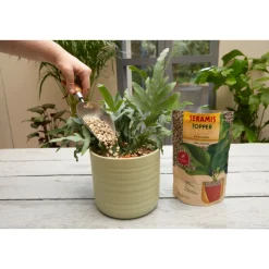 Topper Limestone 1 L ^ Seramis Discount