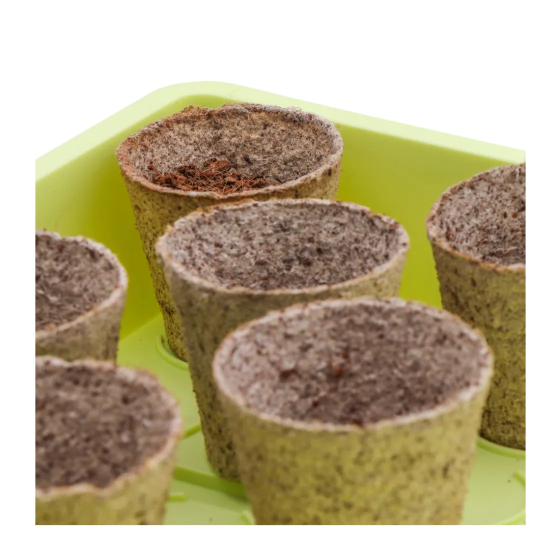 Zimmer-Gewächshaus Uni-Grow 38 x 24 x 18 cm ^ Siena Garden Discount