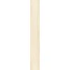 Ambiente Paneel 10mm Birke hell ^ Specht Sale