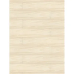 Ambiente Paneel 10mm Birke hell ^ Specht Sale