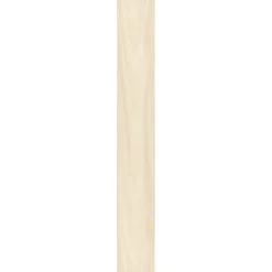 Ambiente Paneel 10mm Birke hell ^ Specht Sale