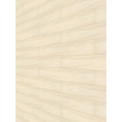 Ambiente Paneel 10mm Birke hell ^ Specht Sale