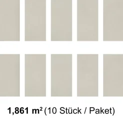 SPECHT SPC Vinyl Ambiente Fliese Alaska610x304,8x4,8mm NS 0,5 ^ Specht Vinylboden New