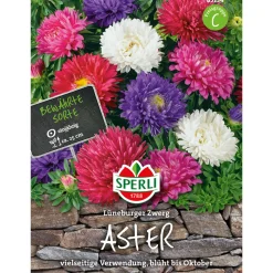 Astern Lüneburger Zwerg Mischung ^ Sperli Discount