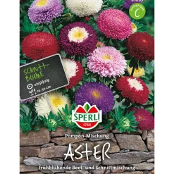 Astern Pompon Mischung ^ Sperli Sale
