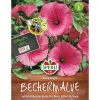 Bechermalven Ruby Regis ^ Sperli Outlet
