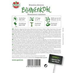 Blumenkohl Romanesco natalino ^ Sperli Sale