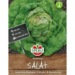 Kopfsalat Maikönig ^ Sperli
